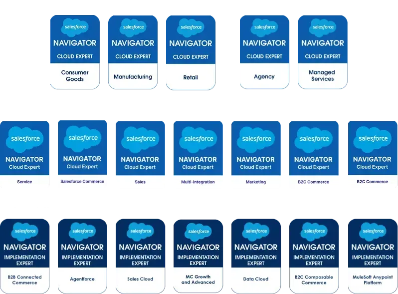 Salesforce Navigator Cloud Expert badges grouped by industries, services, products, and implementation categories.