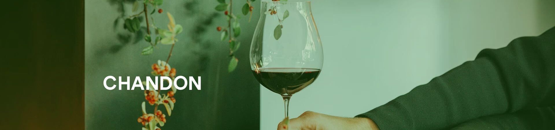The word 'CHANDON' next to a wine glass filled with red wine, surrounded by green foliage.